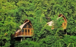 Thổi hồn vào kiến trúc hiện đại với mây, tre