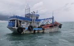Cảnh sát biển bắt giữ tàu chở hơn 110.000 lít dầu DO trái phép