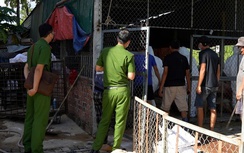 Khởi tố chủ cơ sở gom heo bệnh chở đi nơi khác tiêu thụ