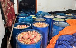 Gia Lai: Phát hiện gần 100 thùng da, mỡ heo bốc mùi hôi thối trong cơ sở lạp xưởng