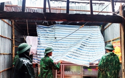 Kịp thời hỗ trợ người dân khắc phục hậu quả do dông lốc, mưa lớn ở Cà Mau