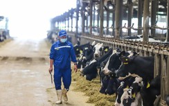 Tập đoàn TH: Tiên phong sản xuất nông nghiệp hữu cơ tại Việt Nam