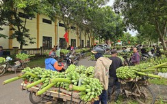 Cận cảnh chợ chuối Tân Long ở địa điểm tạm sau vụ tai nạn giao thông 3 người chết