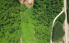 Gia Lai: Hơn 10.300 tỷ đồng GPMB, tái định cư cho dự án đường sắt tốc độ cao