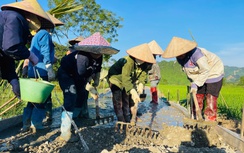 Chung sức chung lòng kiên cố hóa đường bê tông ở Lào Cai