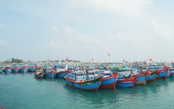 Ngắt kết nối tàu cá, bốn thuyền trưởng bị phạt gần 900 triệu đồng