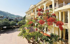 Trường mầm non, tiểu học quy mô nhỏ có thể bị sáp nhập