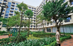 Sớm thành lập Quỹ phát triển nhà ở quốc gia để giải quyết bài toán nhà ở xã hội