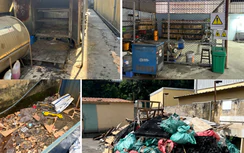 Xử phạt ba công ty vi phạm pháp luật về bảo vệ môi trường ở Hải Phòng