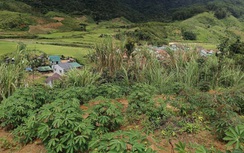 Quảng Ngãi: Di dời người dân sống dưới chân ngọn núi xuất hiện vết nứt dài 200m