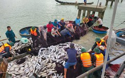 Thủ tướng chỉ đạo khẩn trương khắc phục hậu quả bão số 10 và mưa lũ