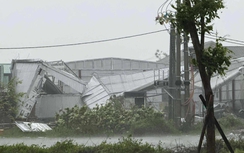 Bão số 10 Bualoi đổ bộ Nghệ An, Hà Tĩnh: Gió rít liên hồi, mưa lớn làm cây đổ, nhà tốc mái