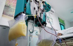 Huyết tương trắng đục như sữa báo hiệu nguy cơ gì?