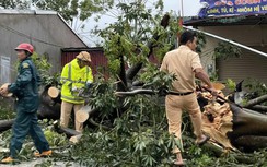 Huy động tối đa nguồn lực khắc phục bão số 10, bảo đảm giao thông, dọn dẹp nhà cửa