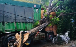 Hà Nội chủ động khắc phục hậu quả mưa bão