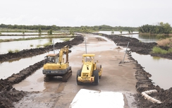 Cà Mau: Sớm gỡ vướng mặt bằng, đưa ĐT979 về đích đúng tiến độ