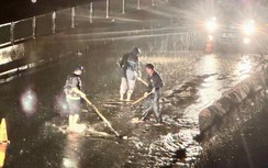 Khẩn trương xử lý sạt trượt, thông tuyến cao tốc Vĩnh Hảo - Phan Thiết