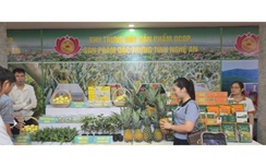 Xây dựng nông thôn mới tại Nghệ An: Đưa sản phẩm OCOP vươn xa