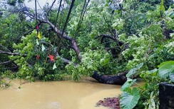Các xã vùng ven Hà Nội căng mình ứng phó hậu quả mưa bão