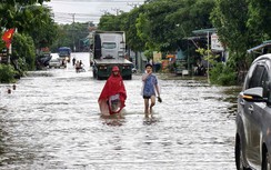 Ninh Bình: Tuyến đường huyết mạch 479 ngập cục bộ, giao thông đi Phú Thọ bị chia cắt