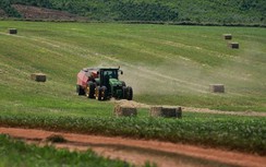 Những cỗ “siêu máy” trên cánh đồng nguyên liệu 8.100ha của TH true MILK