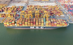 Hàng hải Việt Nam bứt tốc nhờ cải cách hành chính, chuyển đổi số