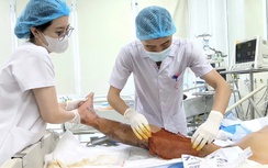 Người nông dân suýt tử vong vì vết gai đâm vào đùi