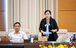 Đại biểu đánh giá cao tư duy đột phá trong dự án Luật Hàng không dân dụng (thay thế)