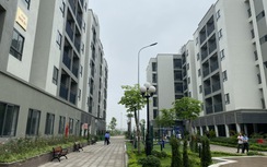 Chính phủ giao chỉ tiêu phát triển nhà ở xã hội giai đoạn 2026 - 2030 cho từng địa phương