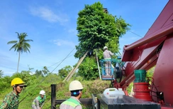 Quảng Ngãi chính thức ban hành quy định về quản lý dịch vụ công sau nhập tỉnh