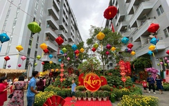 Phát triển nhà ở xã hội: Chính sách nhân văn, trụ cột an sinh