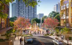 Essensia Broadway trong chu kỳ đầu tư hậu sàng lọc