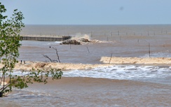 Cà Mau: Đề nghị hỗ trợ hơn 13.000 tỷ đồng khắc phục sạt lở bờ sông, bờ biển