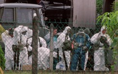 Gia tăng ca mắc virus Nipah ở Ấn Độ, Việt Nam ứng phó ra sao?