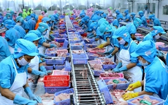 Xuất khẩu nông sản hướng tới kỷ lục 74 tỷ USD