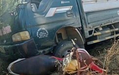 Bản tin TNGT 30/1: Xe tải không người lái tự trôi, va trúng 2 mẹ con khiến bé gái tử vong