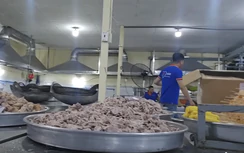 Sở GD&ĐT TP.HCM yêu cầu tạm dừng ngay suất ăn học đường bị phản ánh mất an toàn