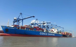 Kiểm soát, ngăn ngừa dịch bệnh do virus Nipah ngay từ cửa khẩu, cảng biển