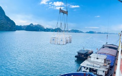 Áp dụng năng suất xanh mang lại lợi ích kinh tế lớn trong doanh nghiệp