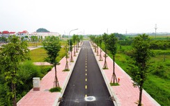 Đấu giá đất "mở hàng" đầu năm mới 2026