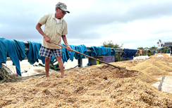 Bộ Nông nghiệp và Môi trường đẩy mạnh phát triển bảo hiểm nông nghiệp