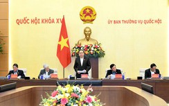 Giới thiệu 145 người ứng cử ĐBQH chuyên trách khóa XVI ở Trung ương