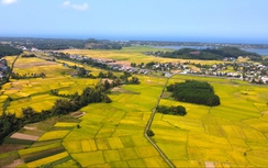 Quảng Ngãi tìm nhà đầu tư xây dựng nghĩa trang, nhà hỏa táng hơn 150 tỷ đồng