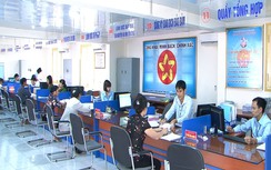 Quy định chi tiết tỷ lệ công chức theo vị trí việc làm tại cấp tỉnh, xã