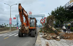 Quảng Ngãi điều tiết giao thông như thế nào khi đóng cầu Trà Khúc?