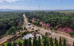 Quảng Ngãi: Khu đô thị hơn 6.700 tỷ đồng ở Măng Đen sẵn sàng khởi công