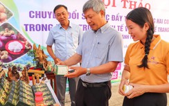 Đà Nẵng: Thúc đẩy chuyển đổi số kinh tế vườn, kinh tế trang trại