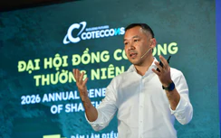 Kịch bản tăng trưởng và sức khỏe tài chính năm 2026 của "ông lớn" Coteccons