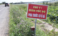Đồng Tháp: Khởi công dự án sửa chữa tuyến tránh Hồng Ngự, trên quốc lộ 30
