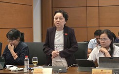 ĐBQH: Cân nhắc tính hợp lý mức xử phạt hành chính tối đa 1,5 tỷ đồng với cá nhân